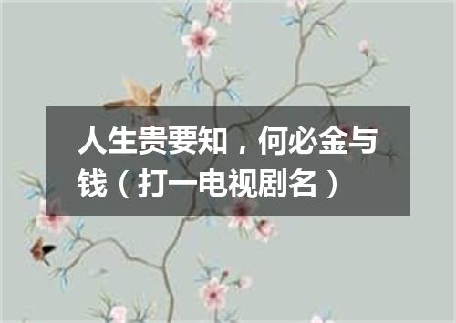 人生贵要知，何必金与钱（打一电视剧名）