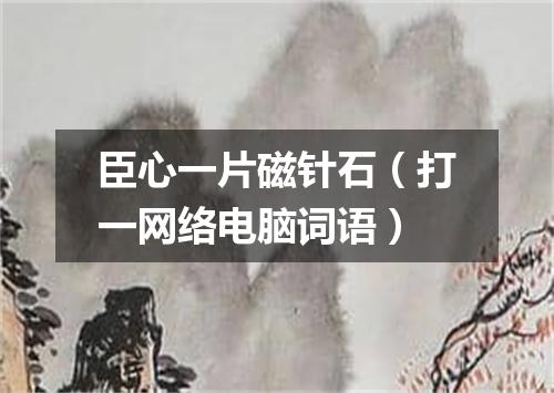 臣心一片磁针石（打一网络电脑词语）