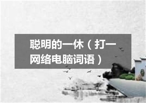 聪明的一休（打一网络电脑词语）