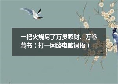 一把火烧尽了万贯家财、万卷藏书（打一网络电脑词语）