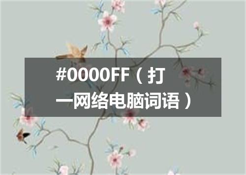 #0000FF（打一网络电脑词语）