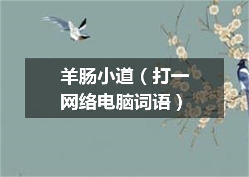 羊肠小道（打一网络电脑词语）
