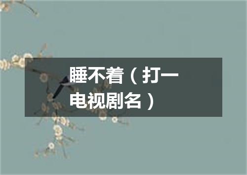 睡不着（打一电视剧名）