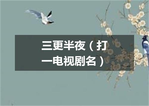 三更半夜（打一电视剧名）