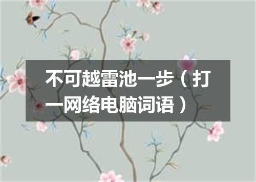 不可越雷池一步（打一网络电脑词语）