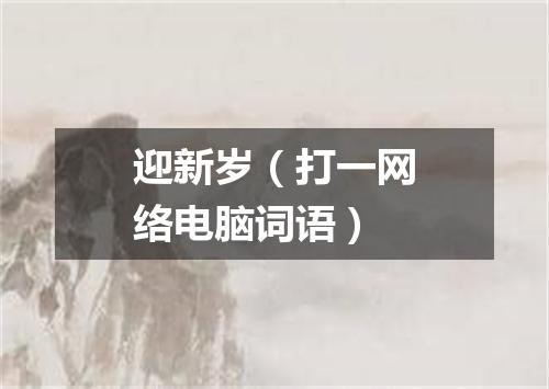 迎新岁（打一网络电脑词语）