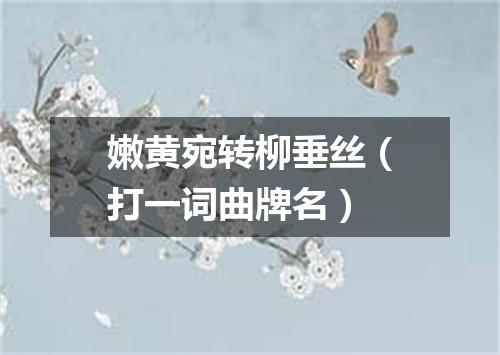 嫩黄宛转柳垂丝（打一词曲牌名）