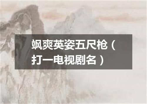 飒爽英姿五尺枪（打一电视剧名）