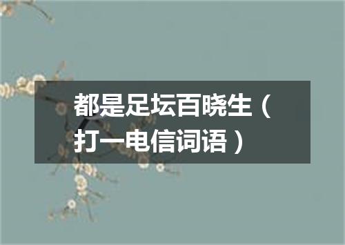 都是足坛百晓生（打一电信词语）