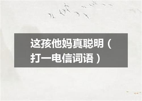 这孩他妈真聪明（打一电信词语）