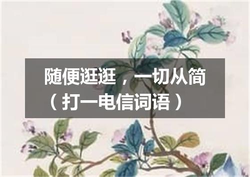 随便逛逛，一切从简（打一电信词语）