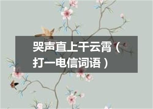 哭声直上干云霄（打一电信词语）