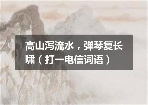 高山泻流水，弹琴复长啸（打一电信词语）