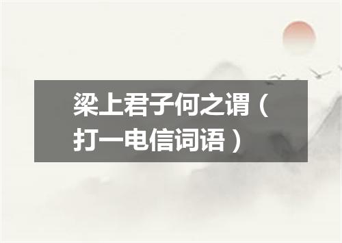 梁上君子何之谓（打一电信词语）