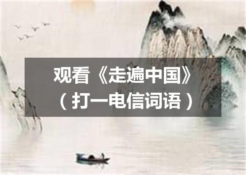 观看《走遍中国》（打一电信词语）