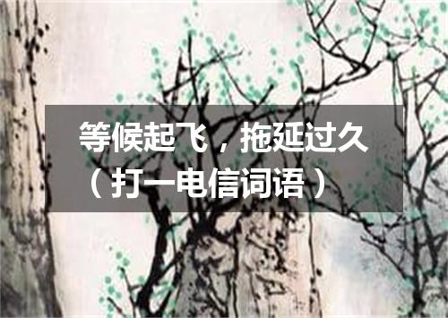 等候起飞，拖延过久（打一电信词语）
