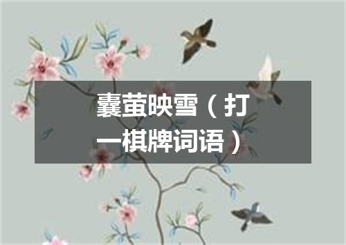 囊萤映雪（打一棋牌词语）