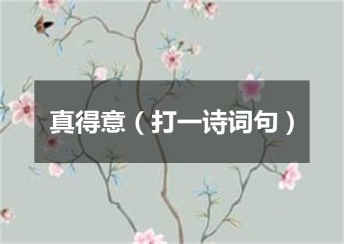真得意（打一诗词句）