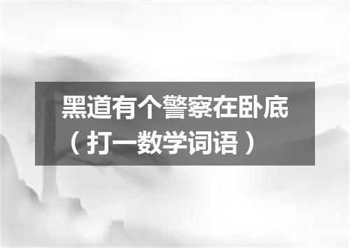 黑道有个警察在卧底（打一数学词语）