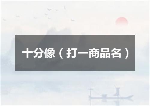十分像（打一商品名）