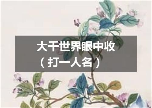 大千世界眼中收（打一人名）