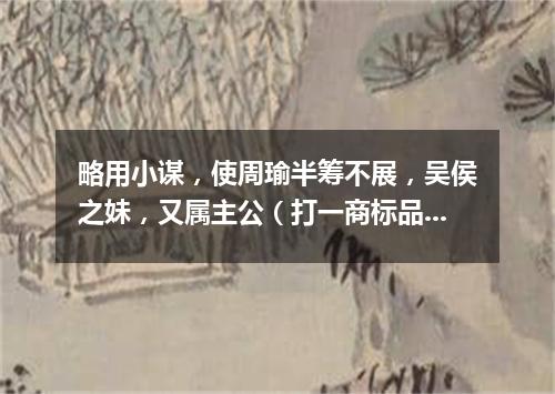 略用小谋，使周瑜半筹不展，吴侯之妹，又属主公（打一商标品牌商号）