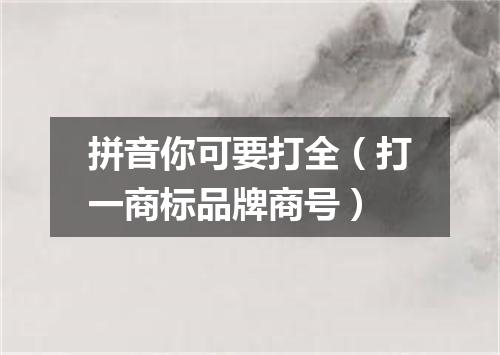 拼音你可要打全（打一商标品牌商号）