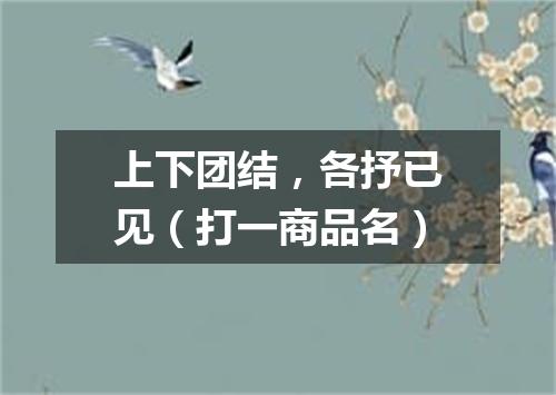 上下团结，各抒已见（打一商品名）