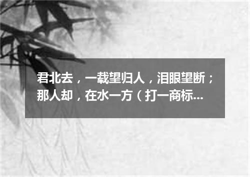 君北去，一载望归人，泪眼望断；那人却，在水一方（打一商标品牌商号）