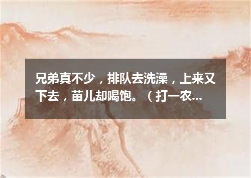 兄弟真不少，排队去洗澡，上来又下去，苗儿却喝饱。（打一农机具）