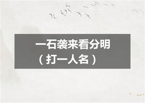 一石袭来看分明（打一人名）