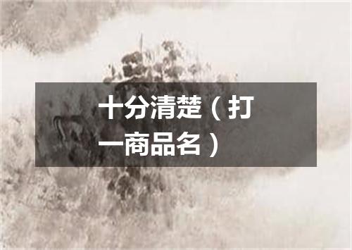 十分清楚（打一商品名）
