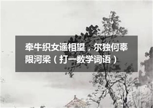 牵牛织女遥相望，尔独何辜限河梁（打一数学词语）
