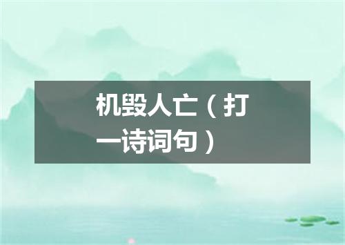 机毁人亡（打一诗词句）