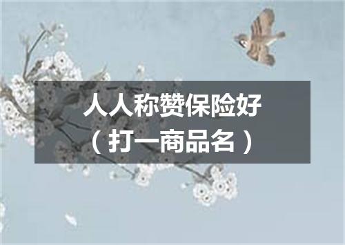 人人称赞保险好（打一商品名）
