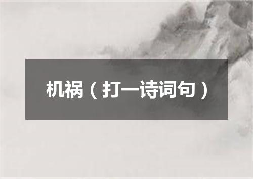 机祸（打一诗词句）