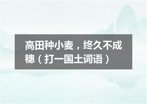 高田种小麦，终久不成穗（打一国土词语）