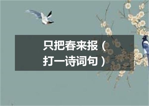 只把春来报（打一诗词句）