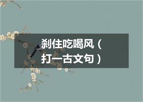 刹住吃喝风（打一古文句）