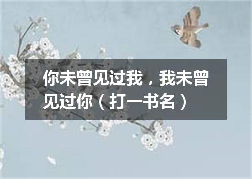 你未曾见过我，我未曾见过你（打一书名）