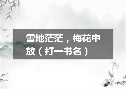 雪地茫茫，梅花中放（打一书名）