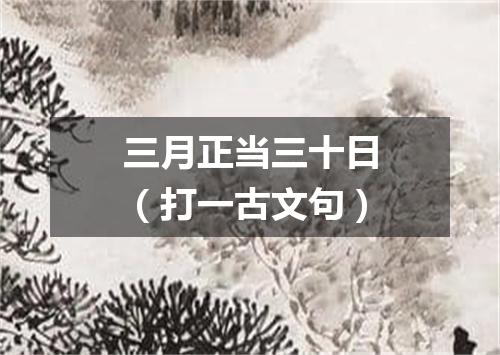 三月正当三十日（打一古文句）