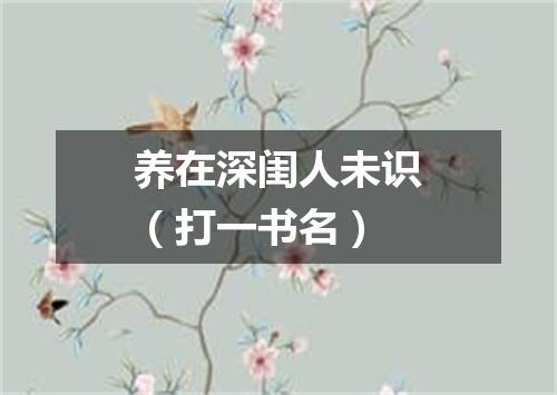 养在深闺人未识（打一书名）