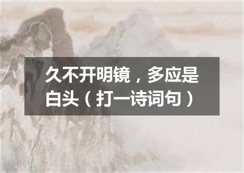 久不开明镜，多应是白头（打一诗词句）