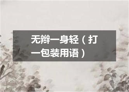 无辫一身轻（打一包装用语）