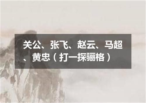 关公、张飞、赵云、马超、黄忠（打一探骊格）