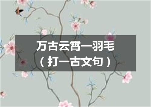 万古云霄一羽毛（打一古文句）