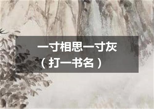 一寸相思一寸灰（打一书名）
