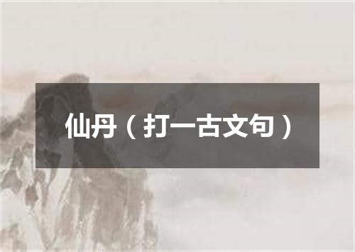 仙丹（打一古文句）