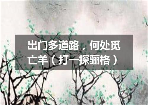 出门多道路，何处觅亡羊（打一探骊格）
